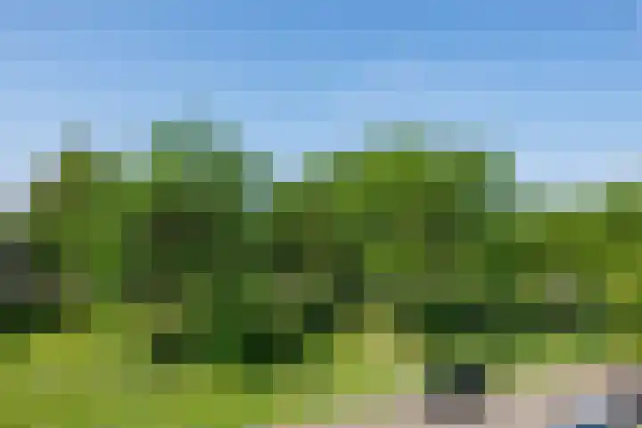 Diemewei 4806 Wijchen thumbnail 38