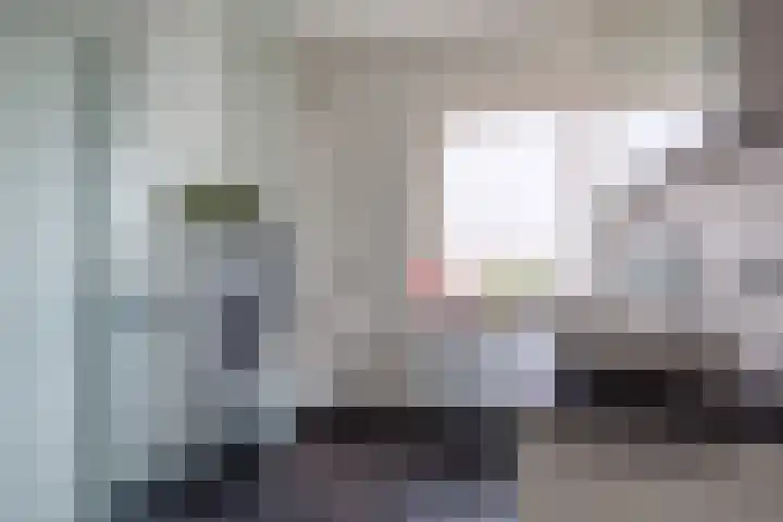 Diemewei 4806 Wijchen thumbnail 4