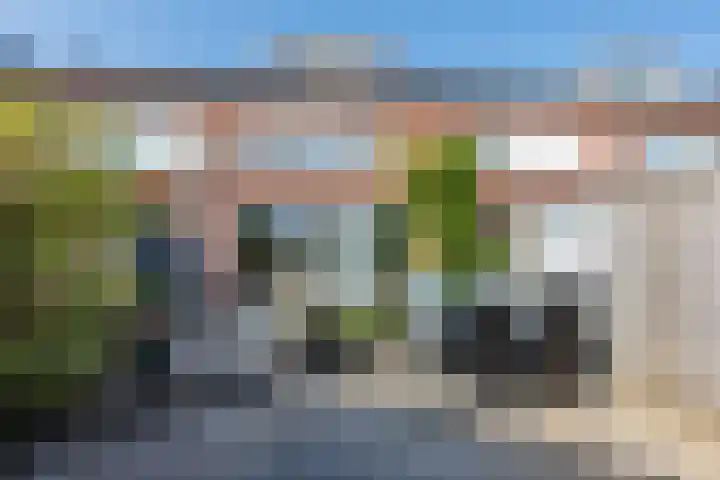 Diemewei 4806 Wijchen thumbnail 42