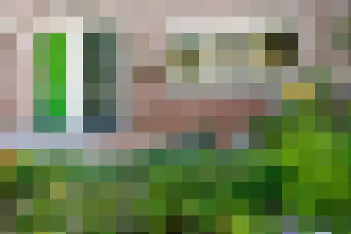Diemewei 4806 Wijchen thumbnail 47
