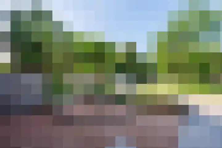 Diemewei 4806 Wijchen thumbnail 49