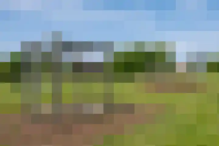 Diemewei 4806 Wijchen thumbnail 54