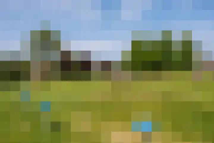 Diemewei 4806 Wijchen thumbnail 58