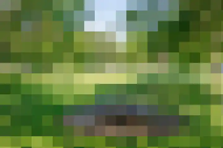 Diemewei 4806 Wijchen thumbnail 59
