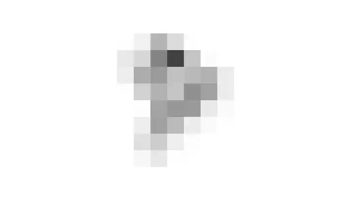 Diemewei 4806 Wijchen thumbnail 68