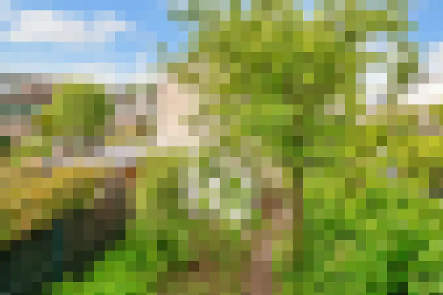 Diemzigt 45 Diemen thumbnail 16