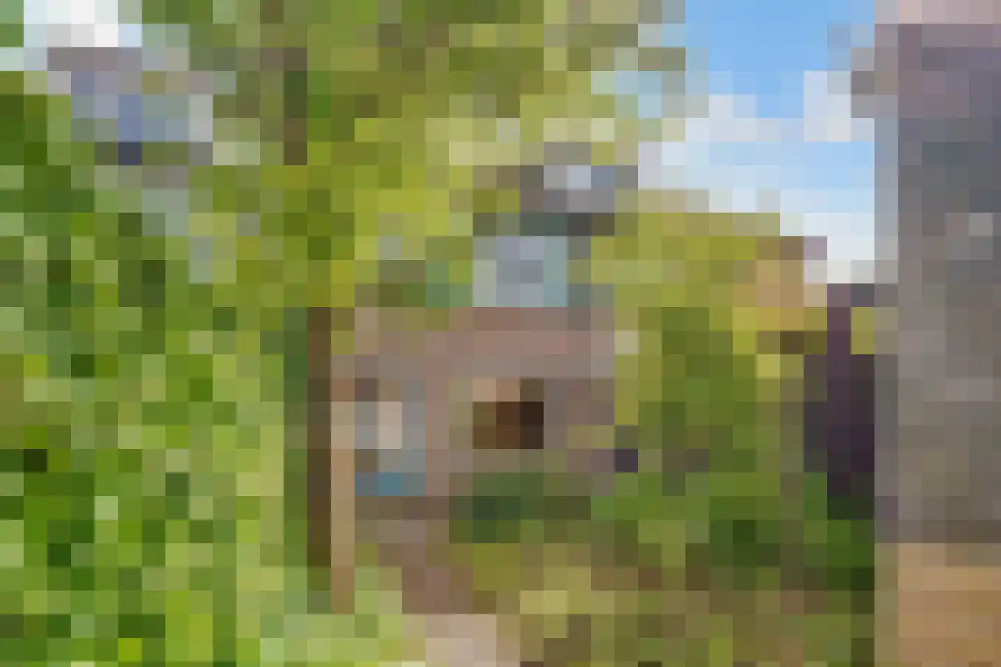 Diemzigt 45 Diemen thumbnail 28