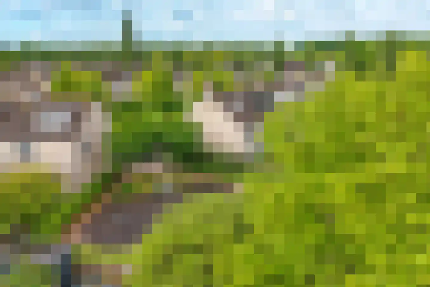 Diemzigt 45 Diemen thumbnail 37