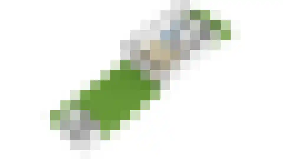 Diemzigt 45 Diemen thumbnail 49