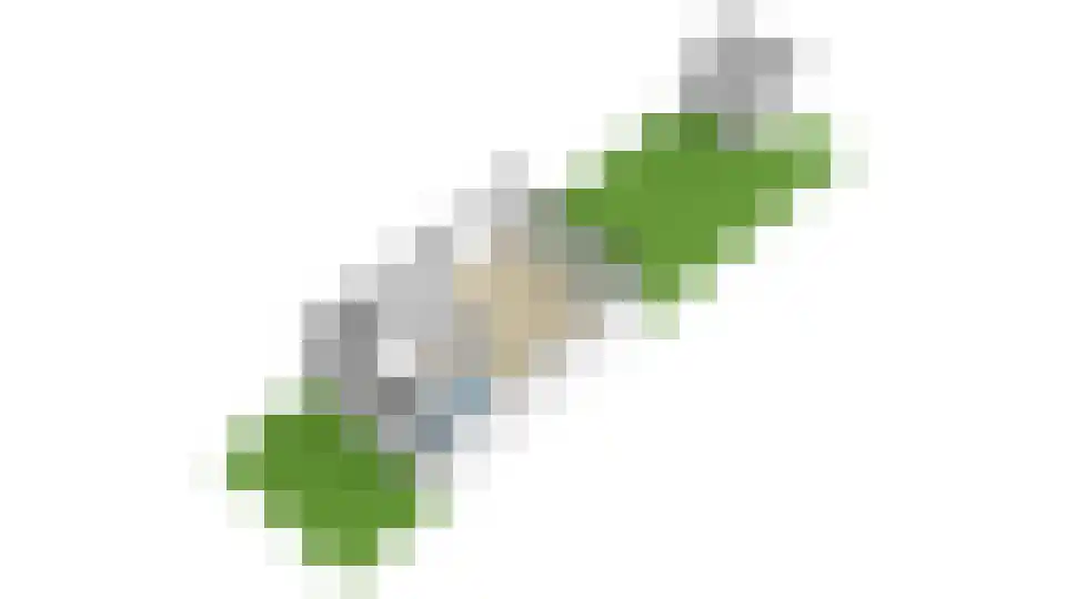 Diemzigt 45 Diemen thumbnail 50