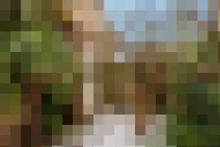 Diemzigt 57 Diemen thumbnail 21