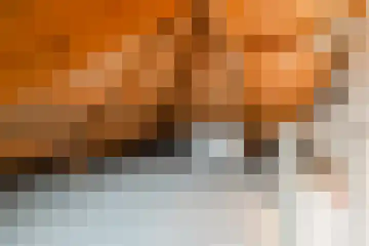 Diemzigt 57 Diemen thumbnail 39