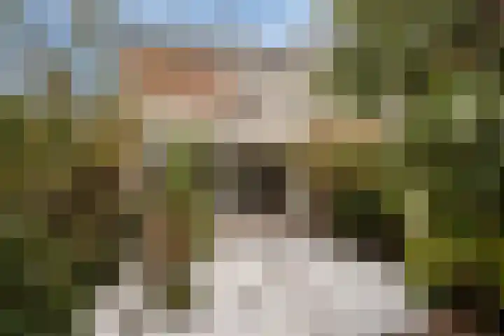 Diemzigt 57 Diemen thumbnail 4