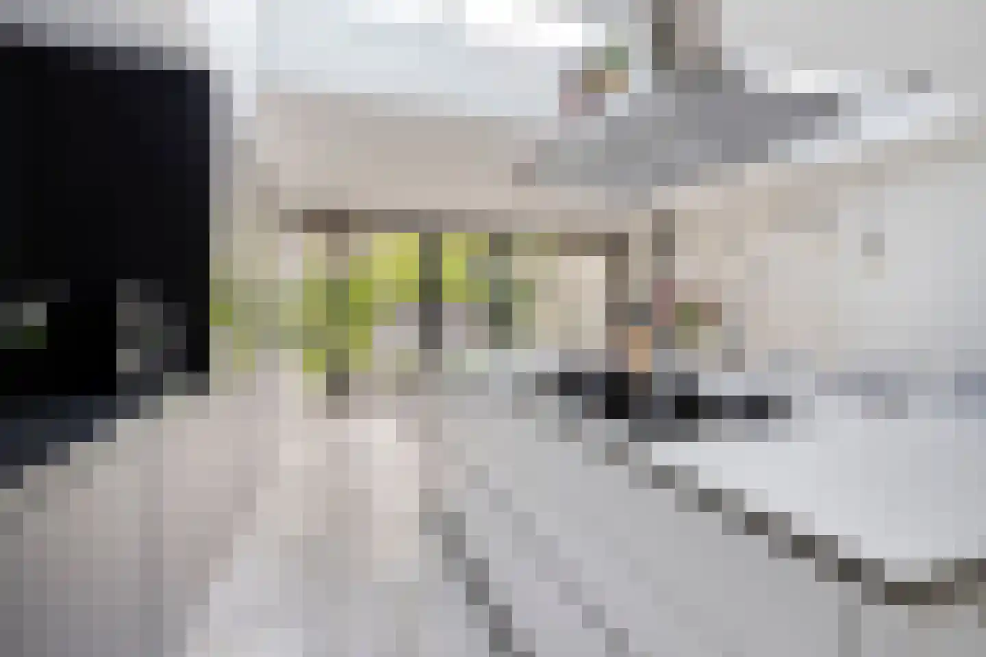 Dien van Hemertstraat 13 's-Hertogenbosch thumbnail 10