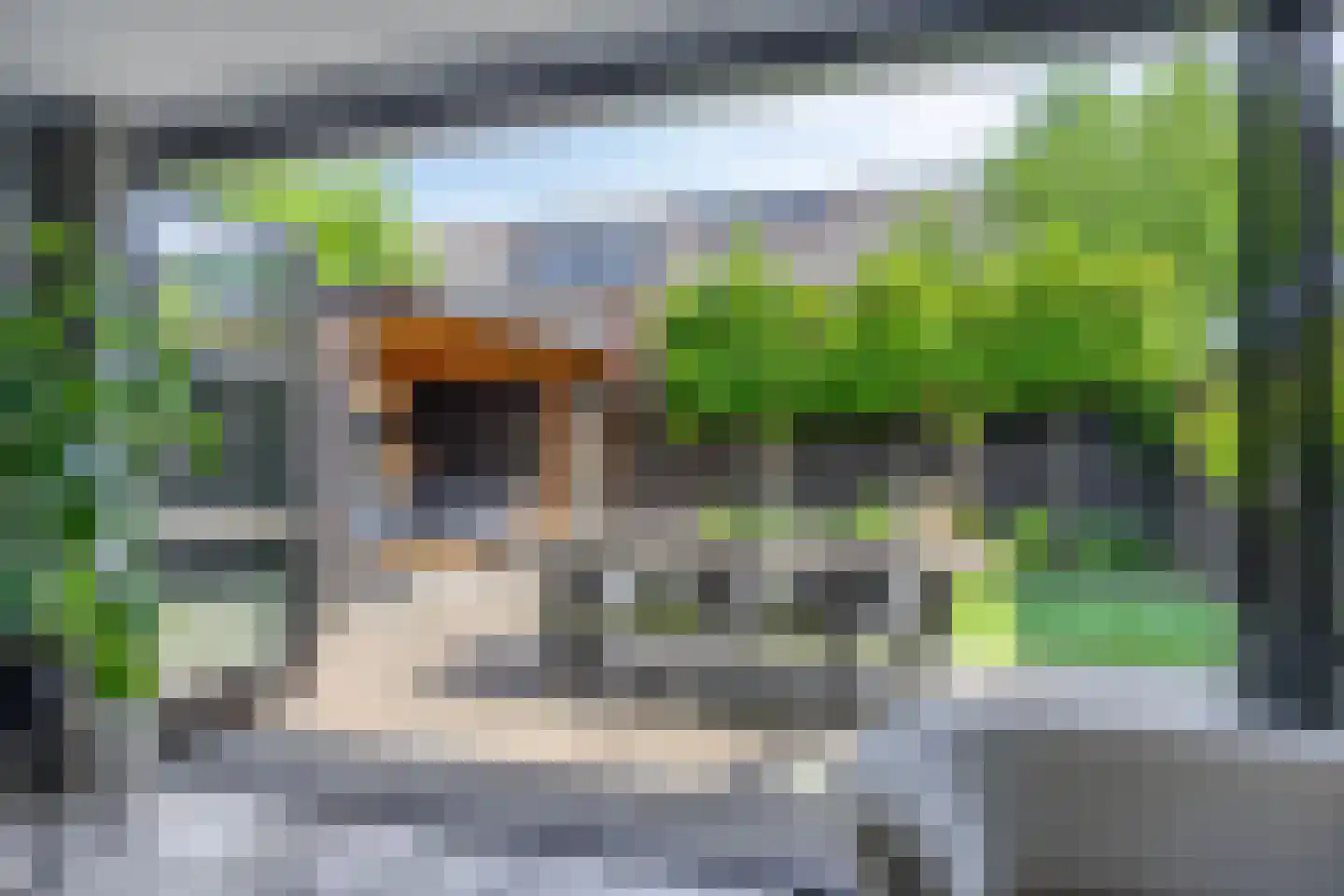 Dien van Hemertstraat 13 's-Hertogenbosch thumbnail 14