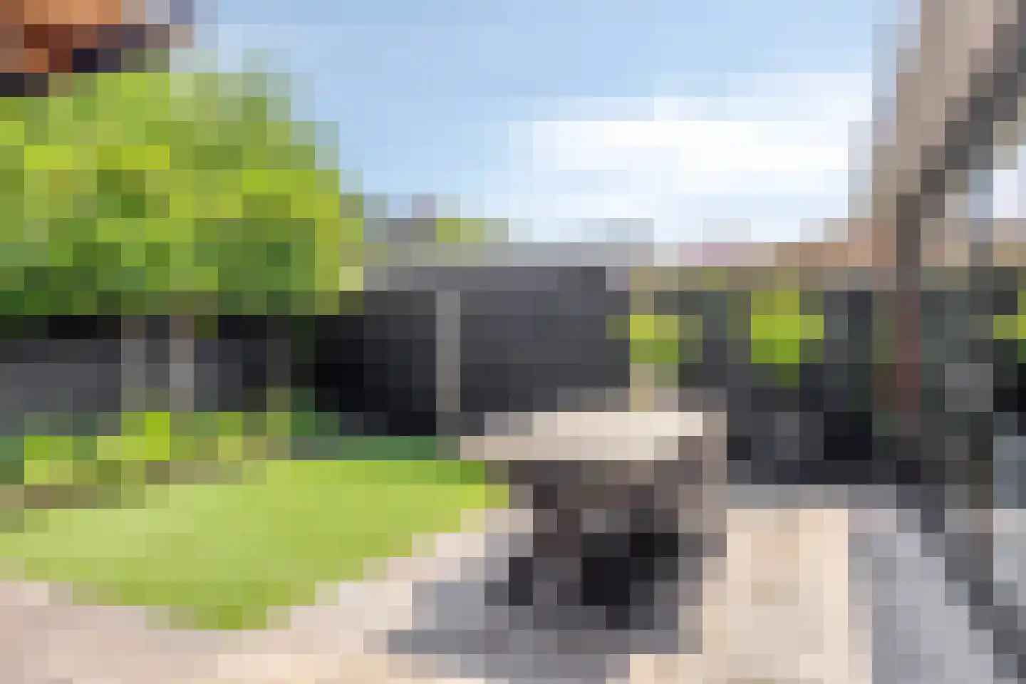 Dien van Hemertstraat 13 's-Hertogenbosch thumbnail 15