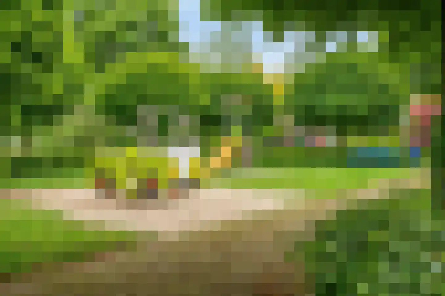 Dien van Hemertstraat 13 's-Hertogenbosch thumbnail 28