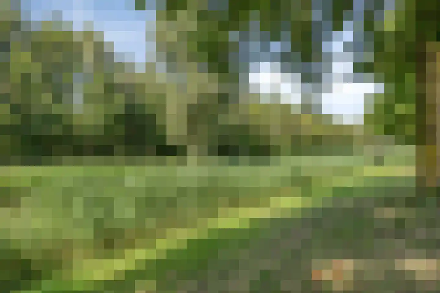 Dien van Hemertstraat 13 's-Hertogenbosch thumbnail 35