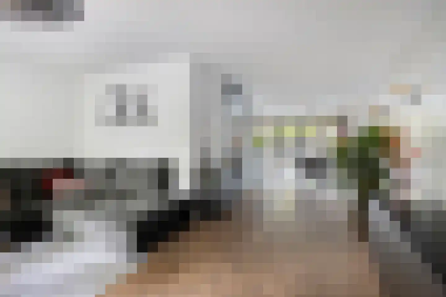 Dien van Hemertstraat 13 's-Hertogenbosch thumbnail 4