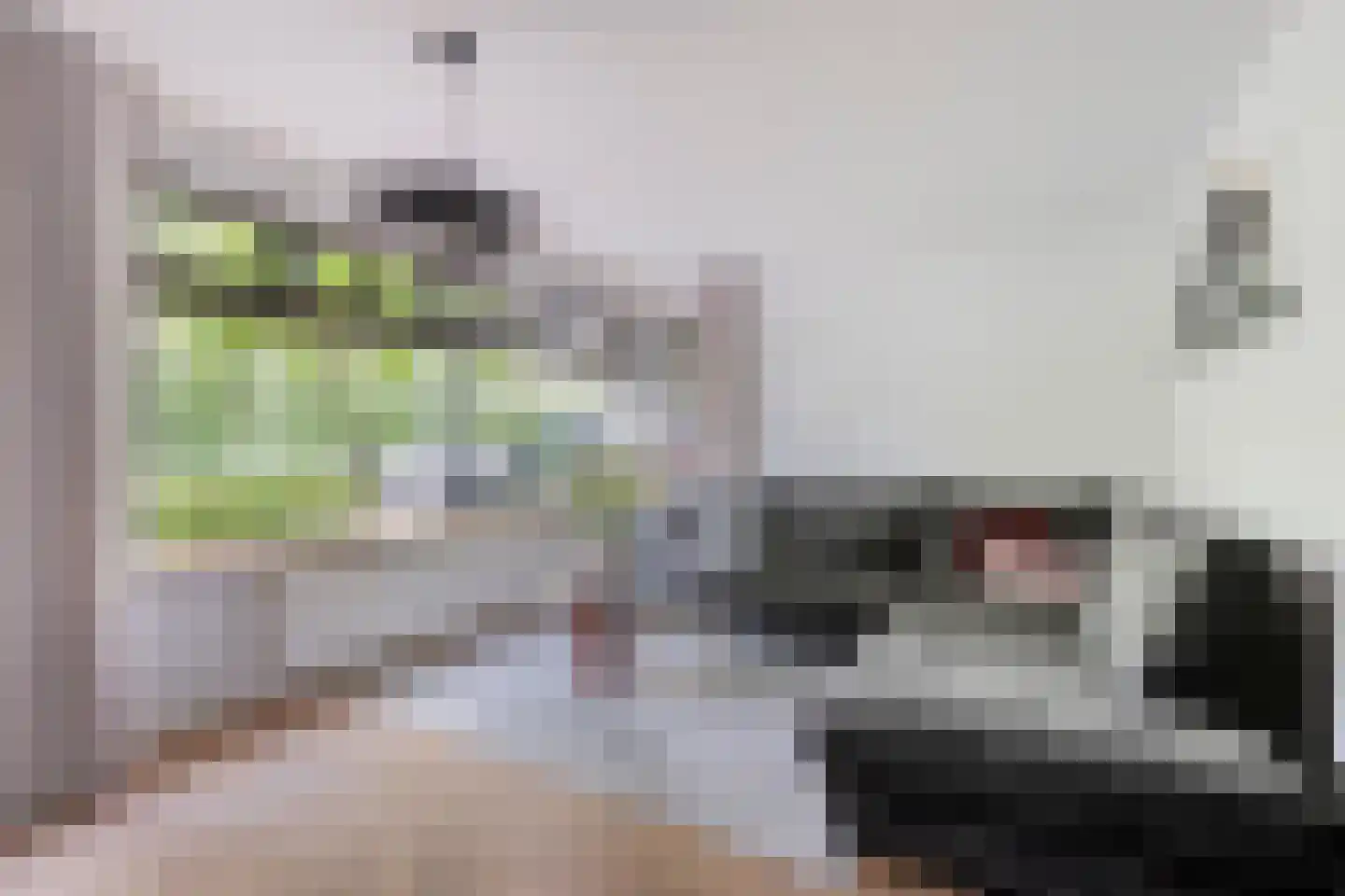 Dien van Hemertstraat 13 's-Hertogenbosch thumbnail 6