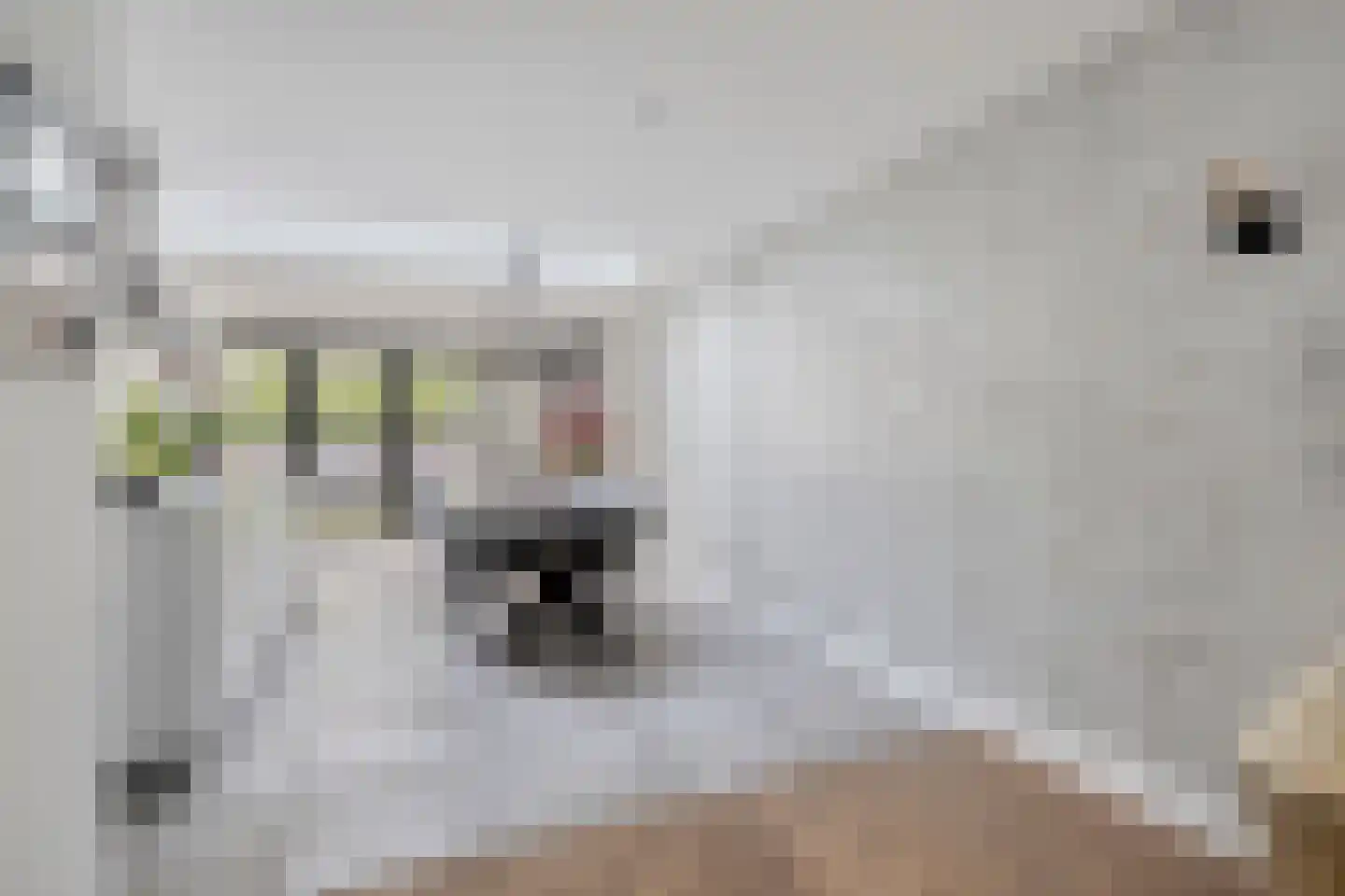 Dien van Hemertstraat 13 's-Hertogenbosch thumbnail 7