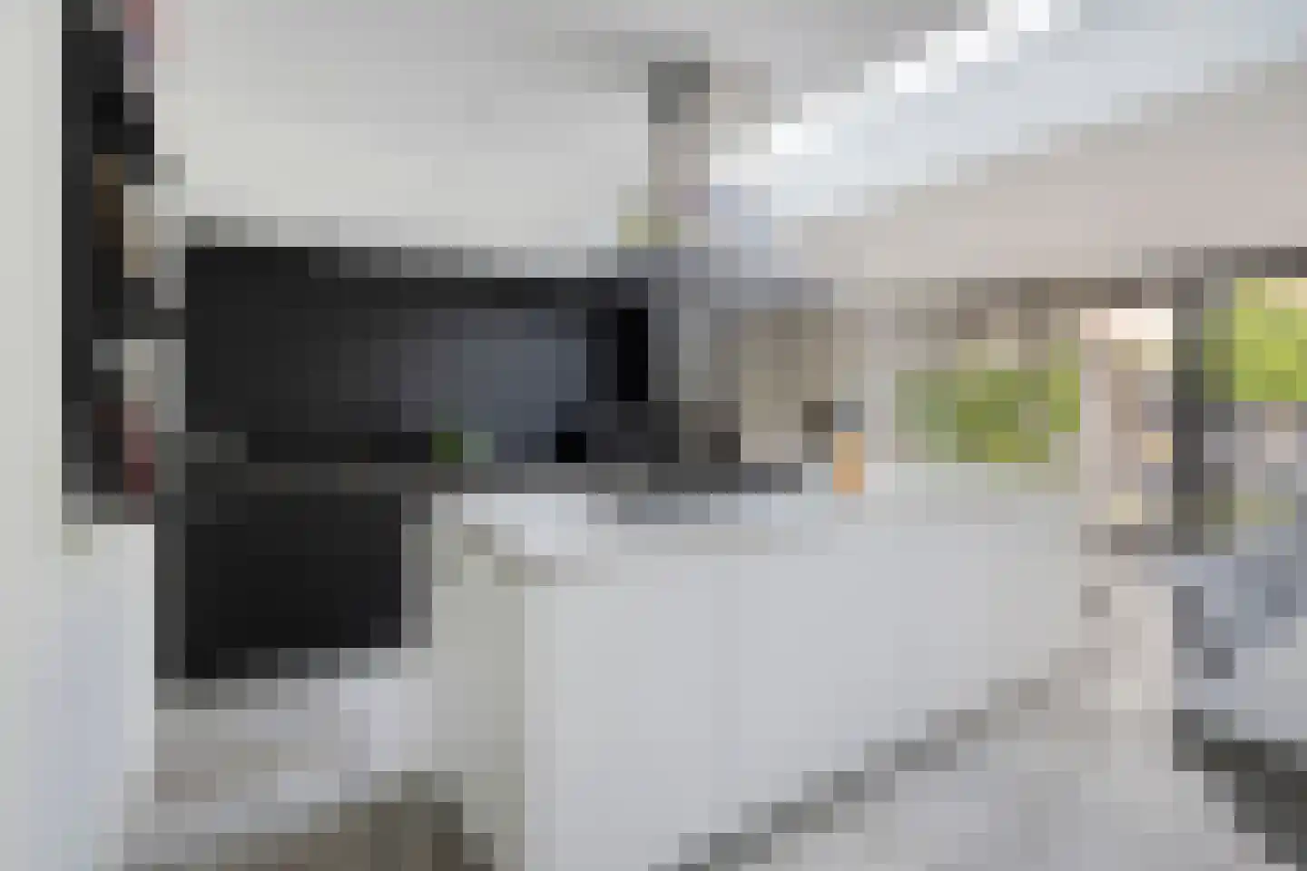 Dien van Hemertstraat 13 's-Hertogenbosch thumbnail 9