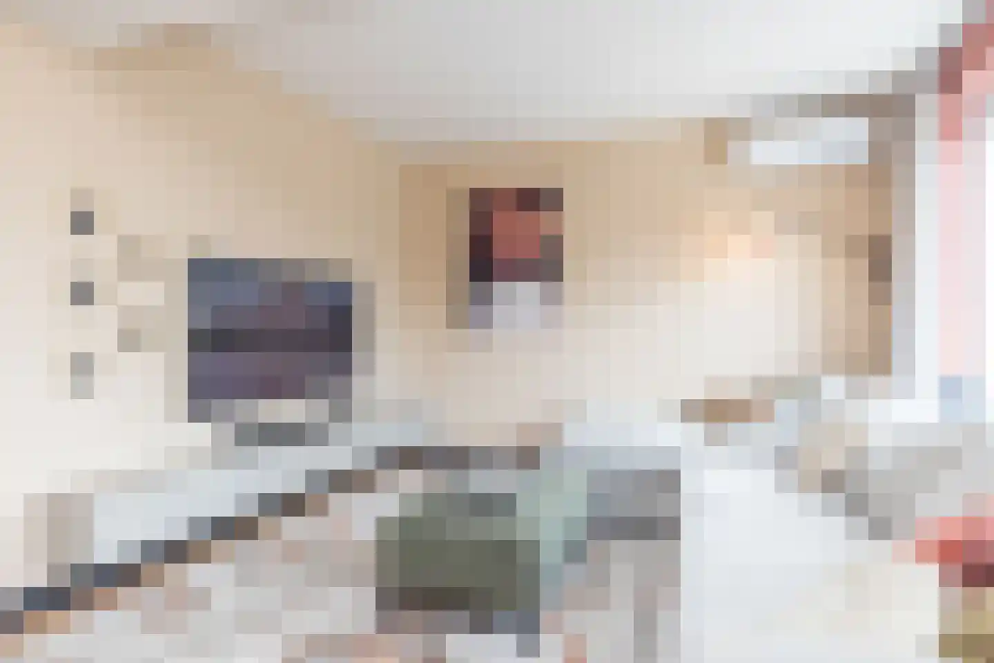 Dienst 38 Brunssum thumbnail 11