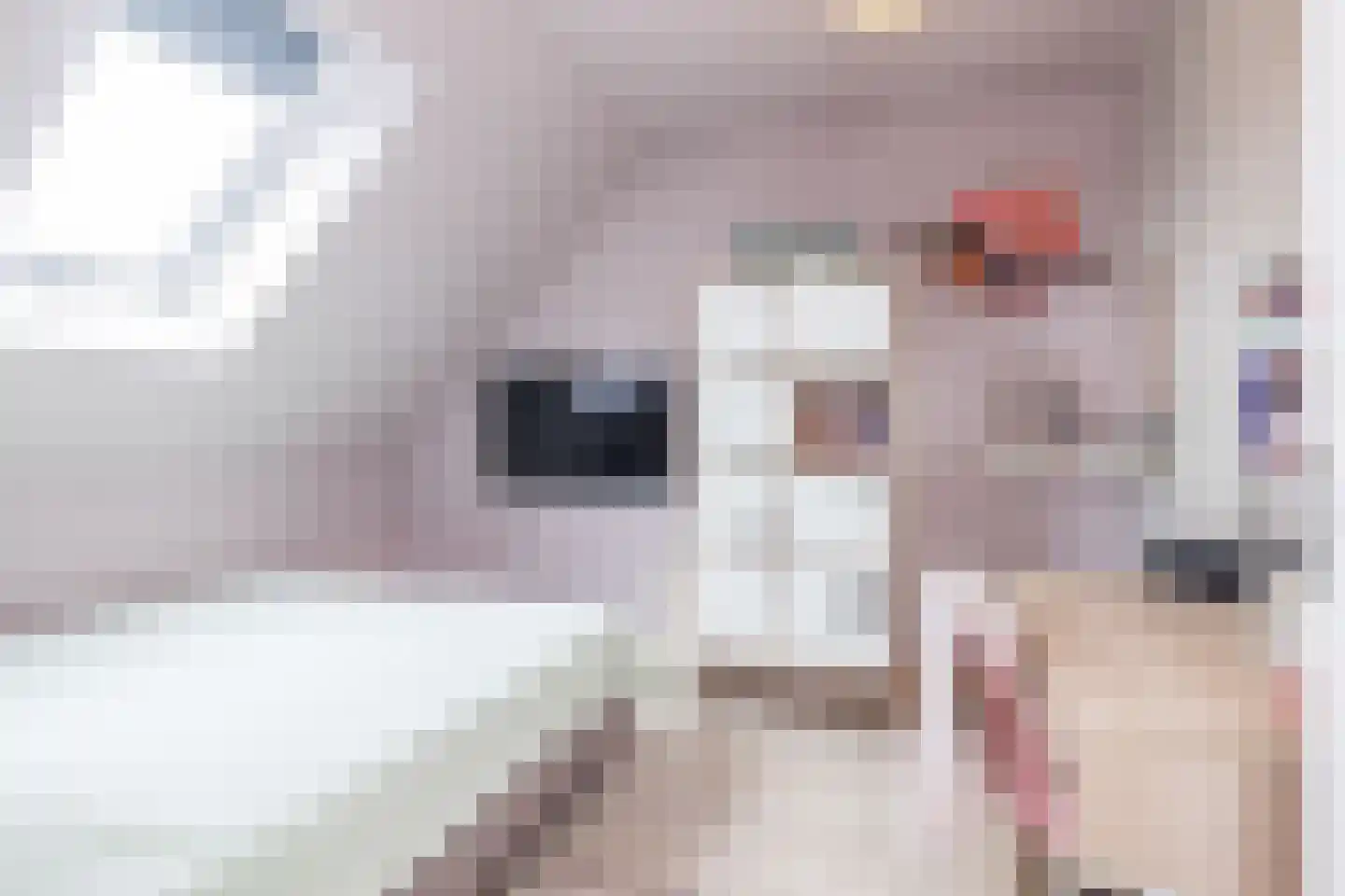 Dienst 38 Brunssum thumbnail 33