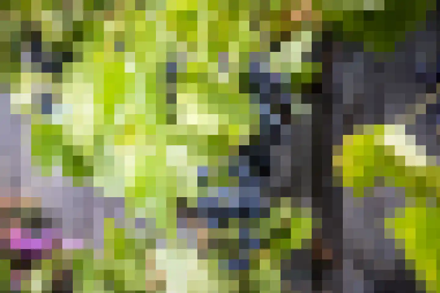 Dienst 38 Brunssum thumbnail 47