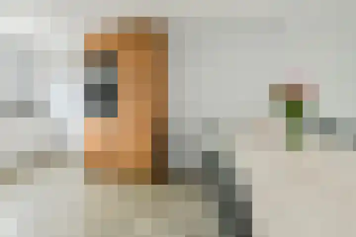 Diep Zand 9 Breda thumbnail 13
