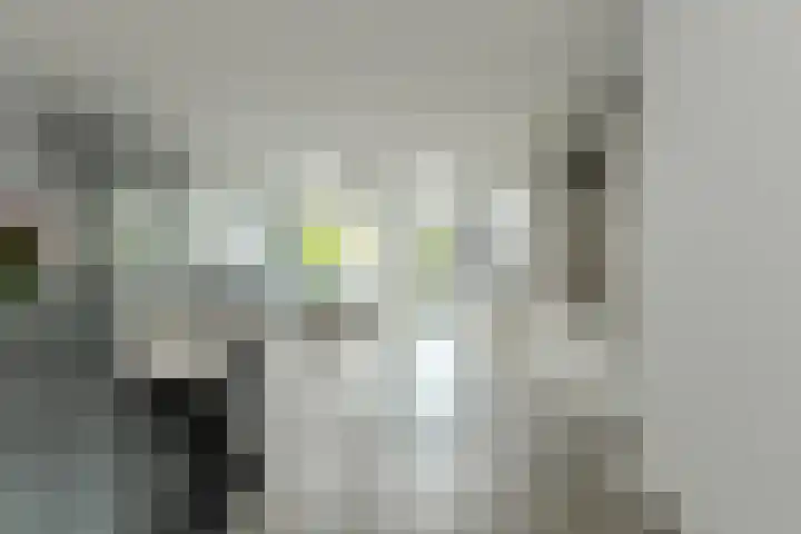 Diep Zand 9 Breda thumbnail 17