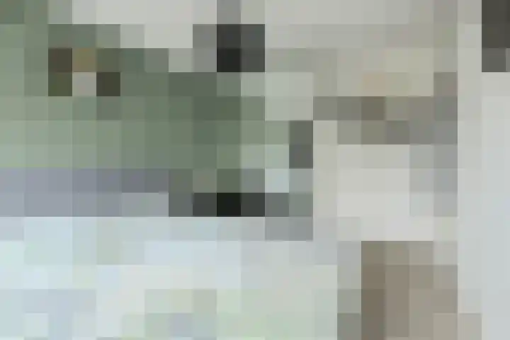 Diep Zand 9 Breda thumbnail 23