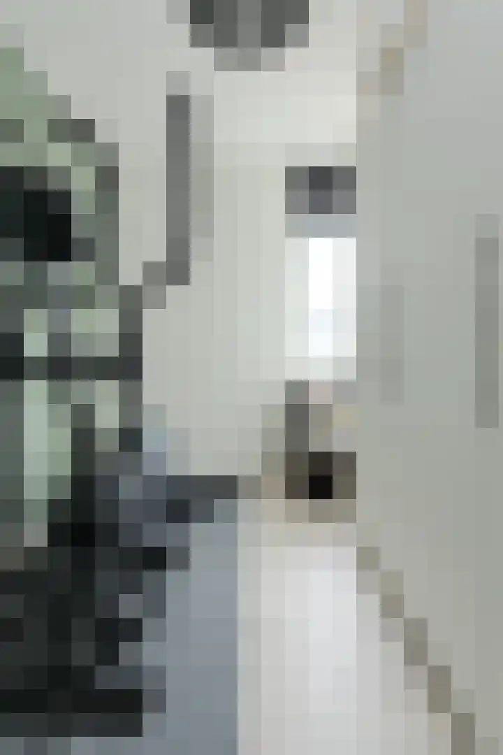 Diep Zand 9 Breda thumbnail 30