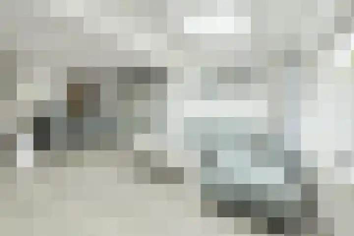 Diep Zand 9 Breda thumbnail 8
