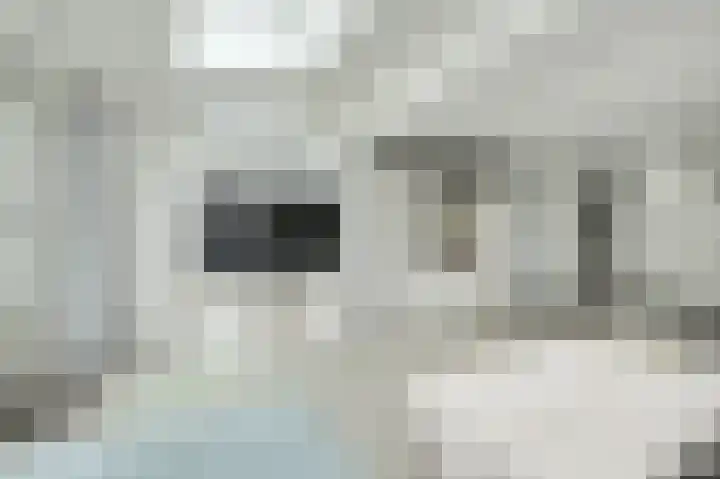 Diep Zand 9 Breda thumbnail 9