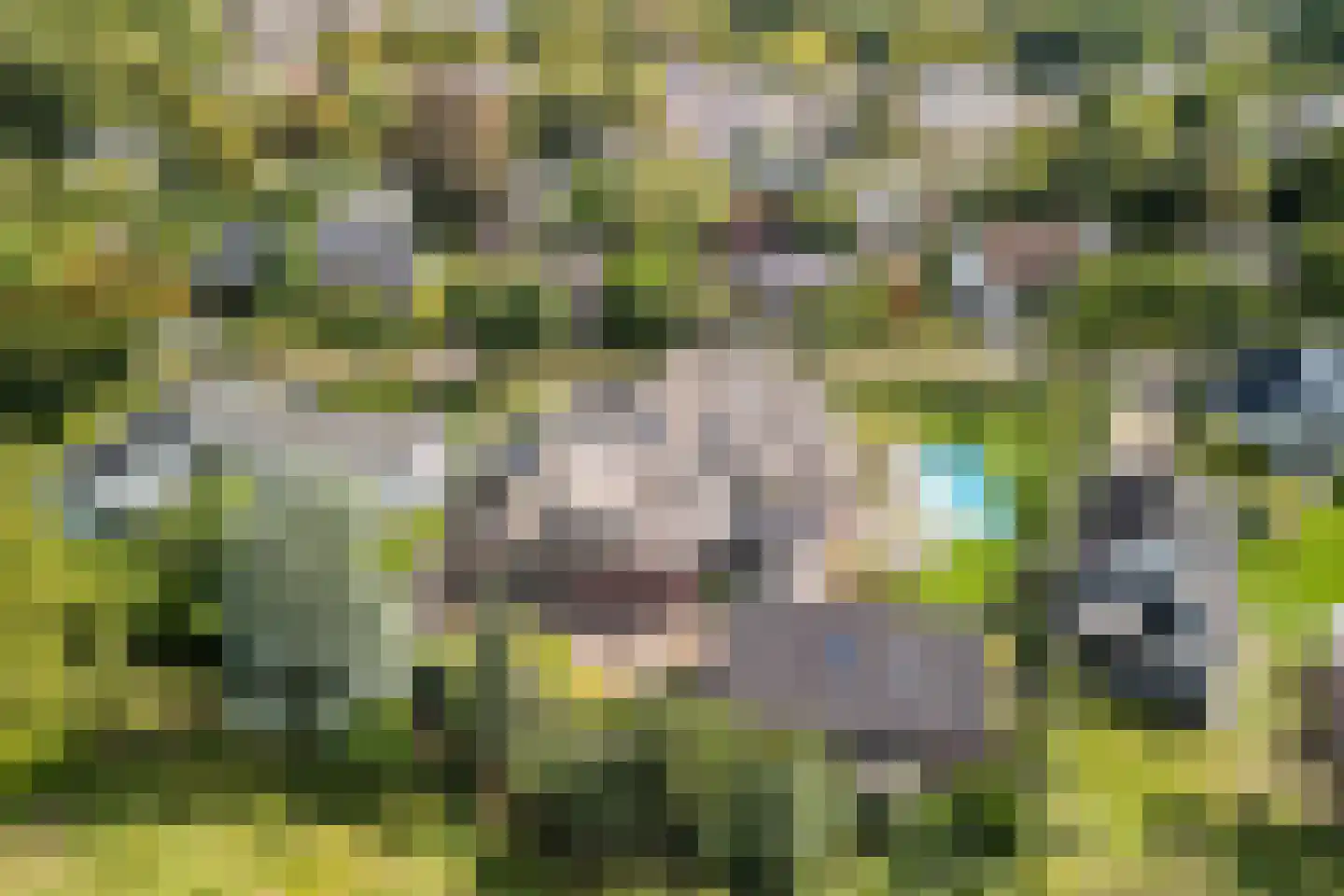 Diepe Vaart 25 Geldrop thumbnail 102