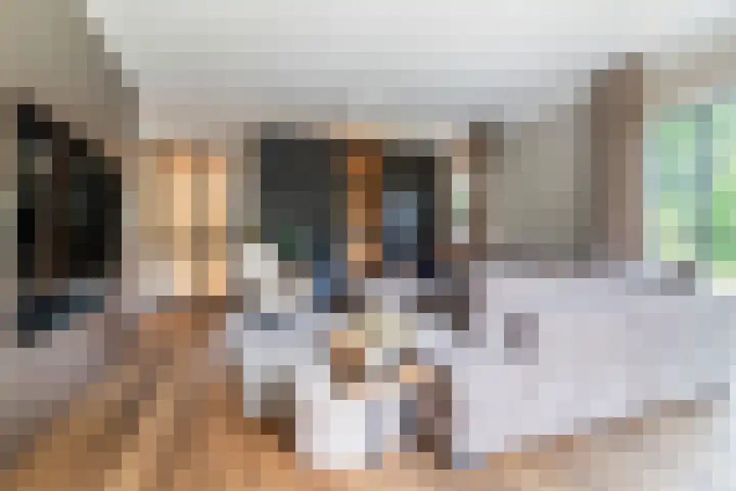 Diepe Vaart 25 Geldrop thumbnail 11
