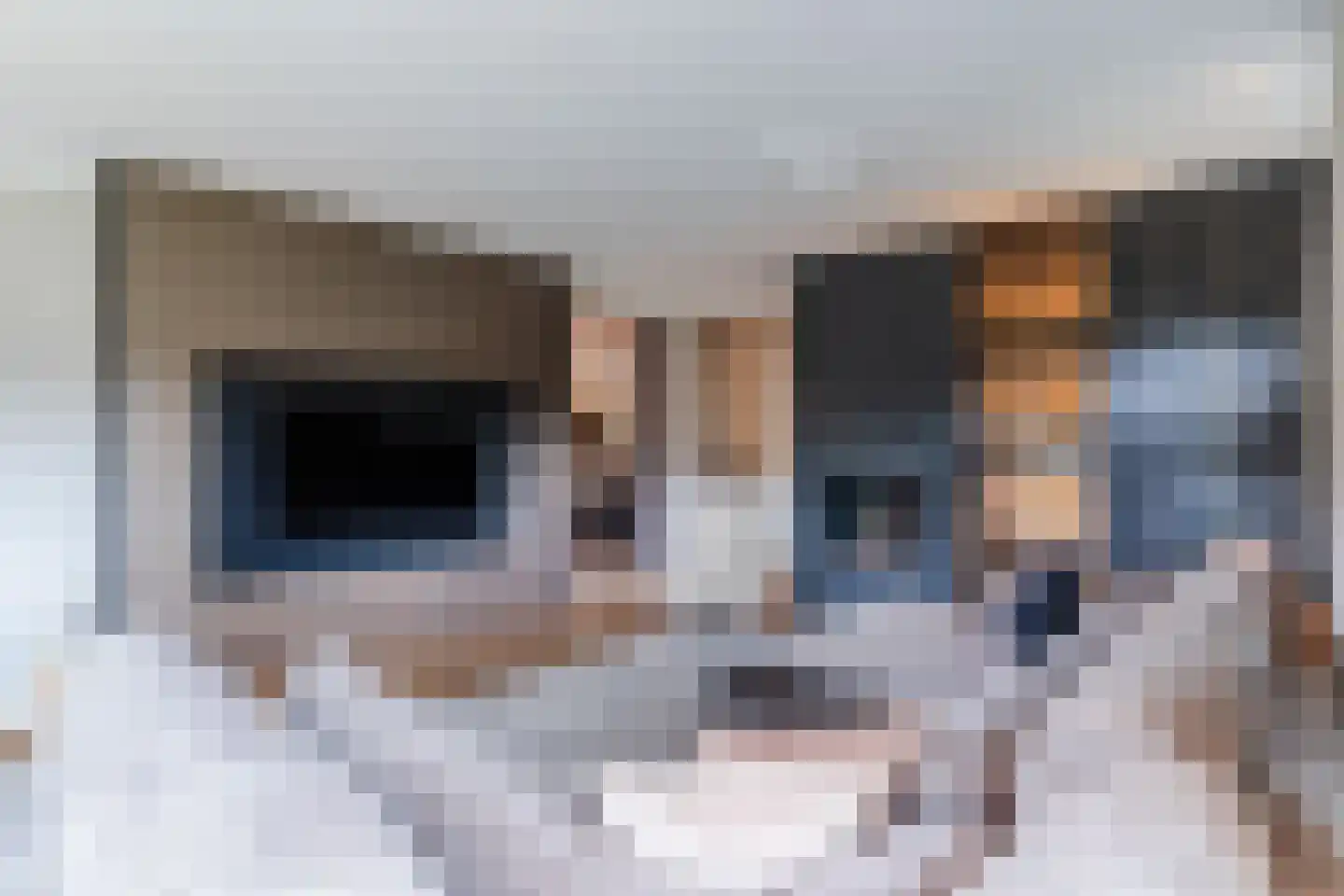Diepe Vaart 25 Geldrop thumbnail 13
