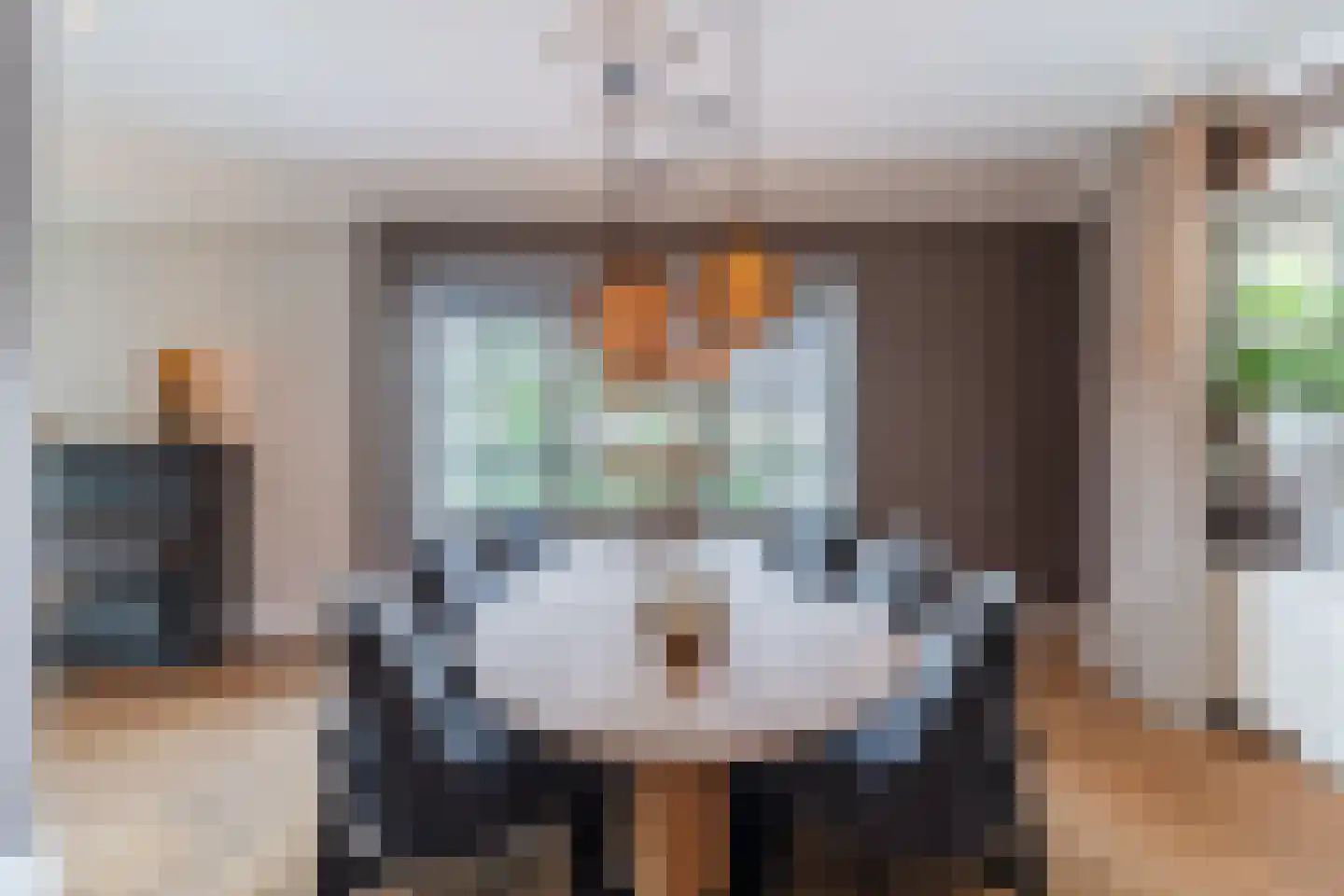 Diepe Vaart 25 Geldrop thumbnail 17