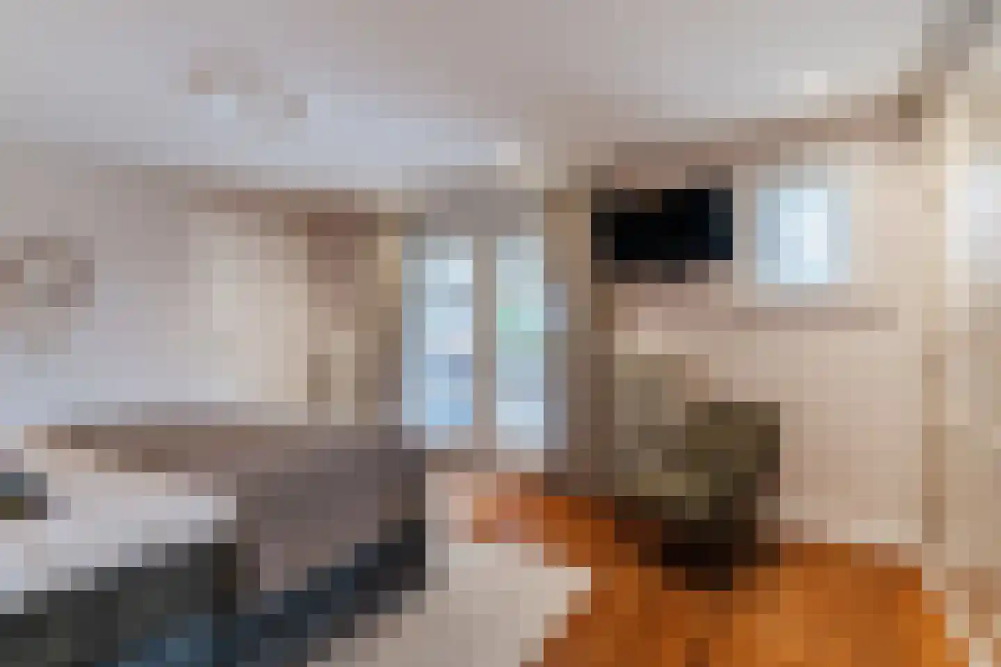 Diepe Vaart 25 Geldrop thumbnail 31