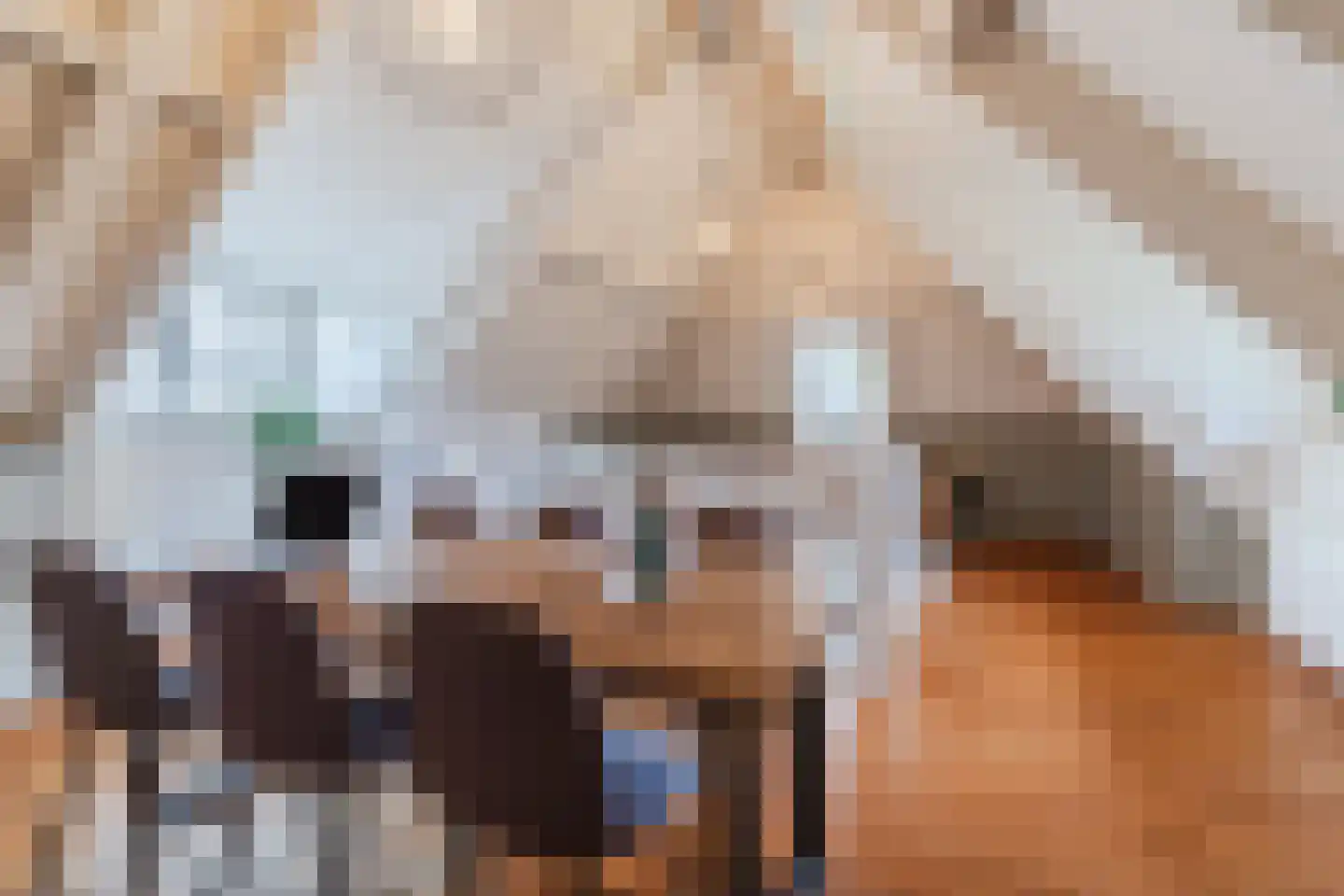 Diepe Vaart 25 Geldrop thumbnail 41