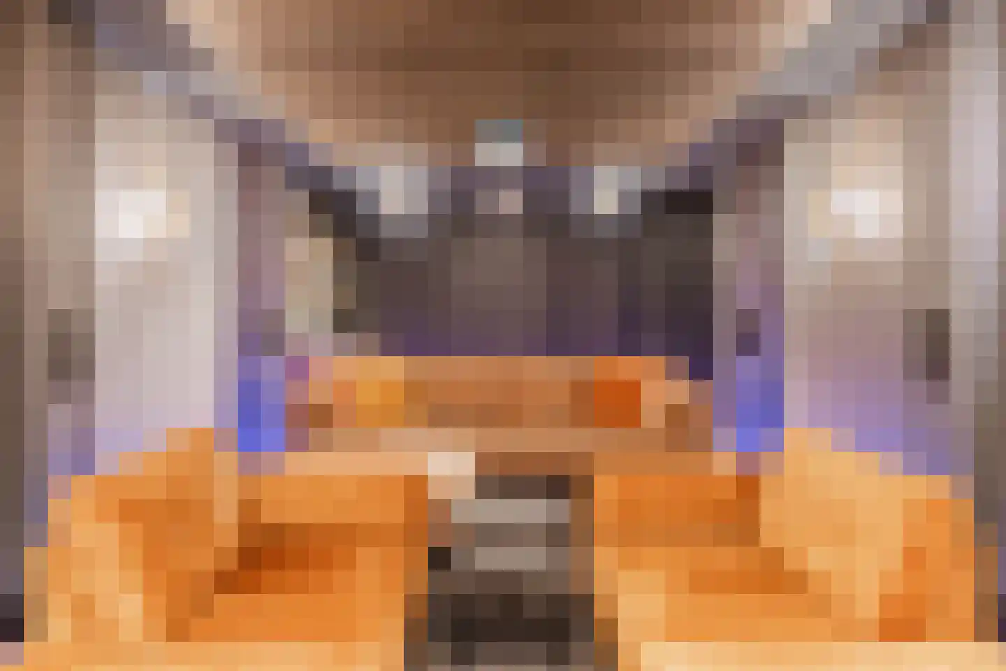 Diepe Vaart 25 Geldrop thumbnail 45
