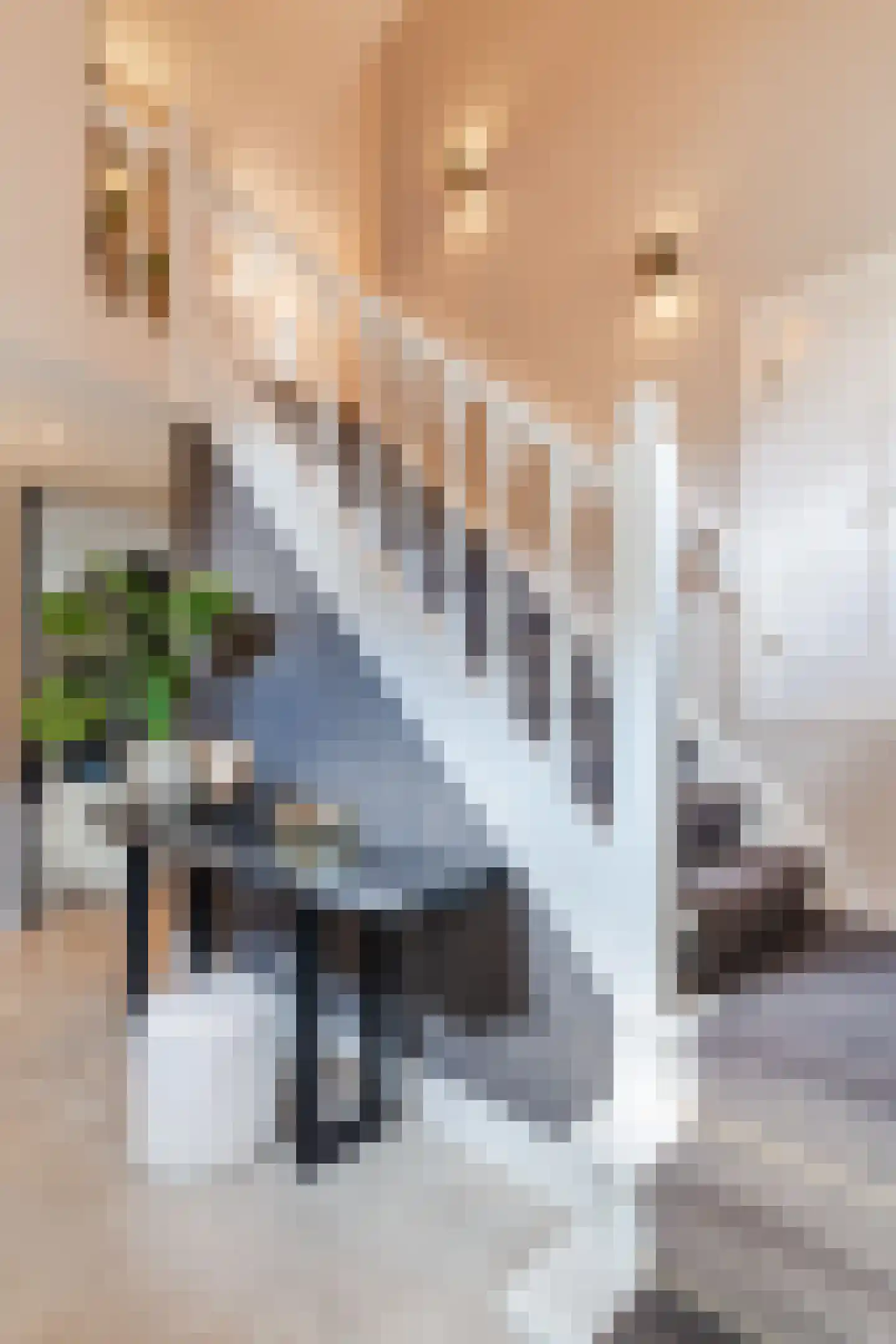 Diepe Vaart 25 Geldrop thumbnail 49
