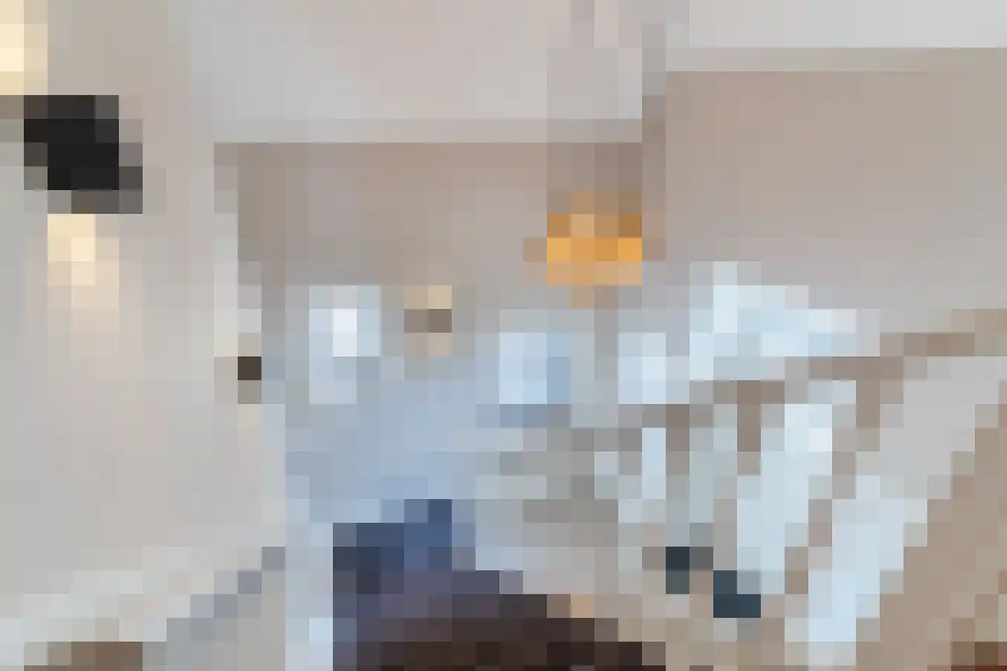 Diepe Vaart 25 Geldrop thumbnail 50