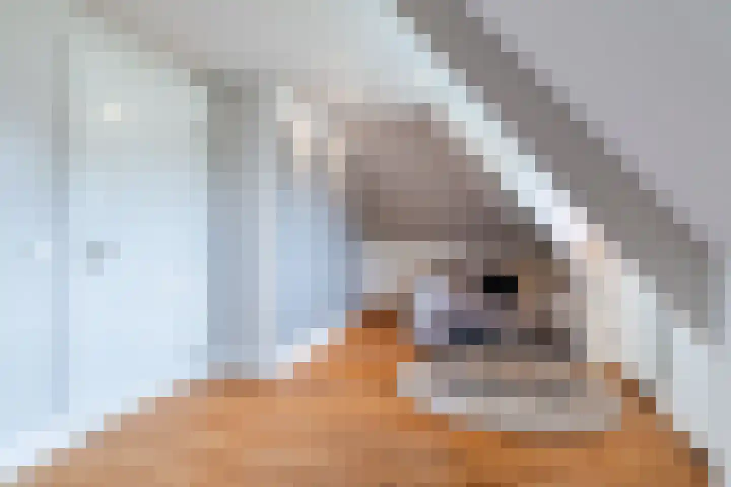 Diepe Vaart 25 Geldrop thumbnail 54