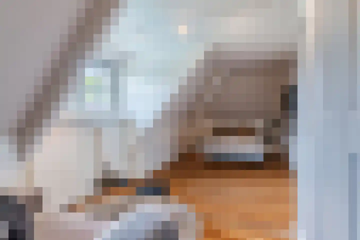 Diepe Vaart 25 Geldrop thumbnail 55