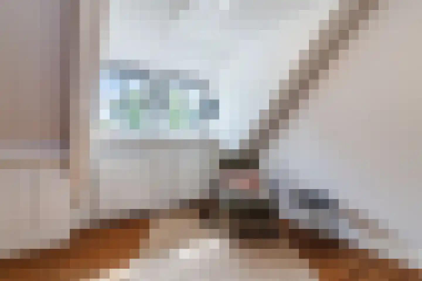 Diepe Vaart 25 Geldrop thumbnail 56