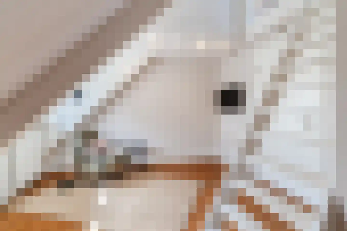 Diepe Vaart 25 Geldrop thumbnail 57