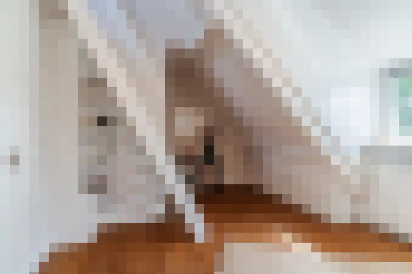 Diepe Vaart 25 Geldrop thumbnail 58