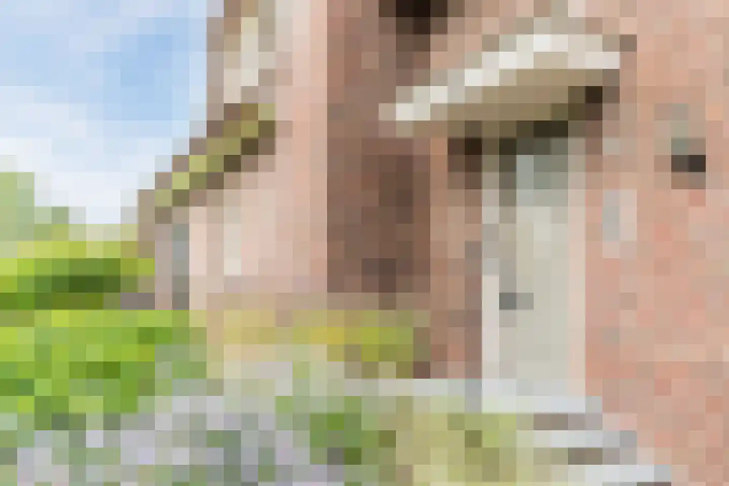 Diepe Vaart 25 Geldrop thumbnail 6
